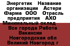 Энергетик › Название организации ­ Астери-Фарма, ООО › Отрасль предприятия ­ АХО › Минимальный оклад ­ 1 - Все города Работа » Вакансии   . Новгородская обл.,Великий Новгород г.